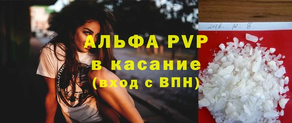 стаф Балахна