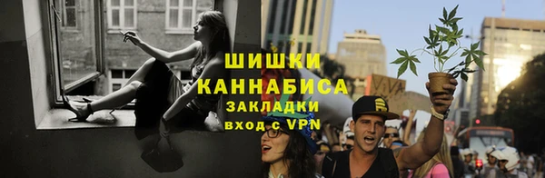 стаф Балахна
