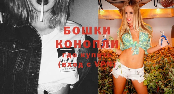 стаф Балахна