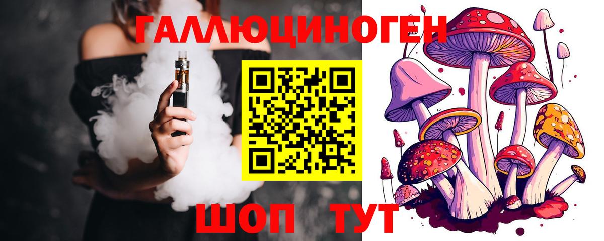 Галлюциногенные грибы Psilocybine cubensis  Псилоцибиновые грибы MAGIC MUSHROOMS  Вход с VPN  Кировск 